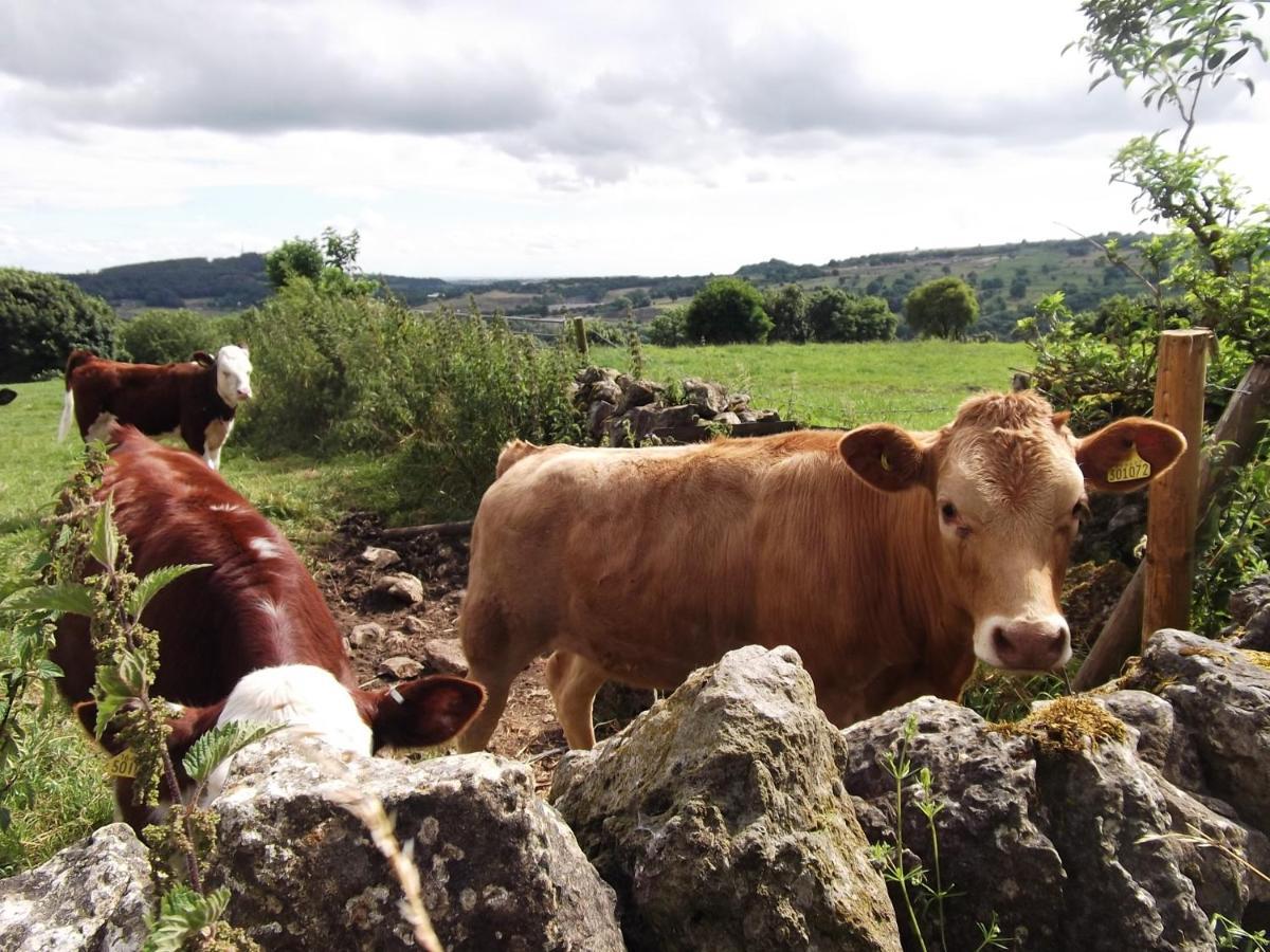 Hall Dale View Near Matlock & Peak District Exterior foto